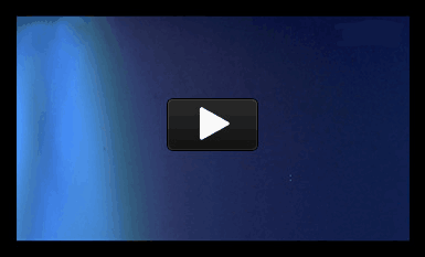 公司研發(fā)團隊